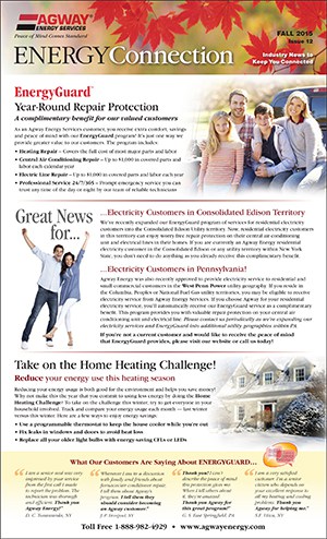 Fall 2015 (PDF)