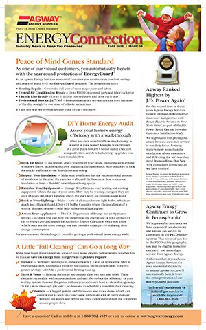 Fall 2016 (PDF)