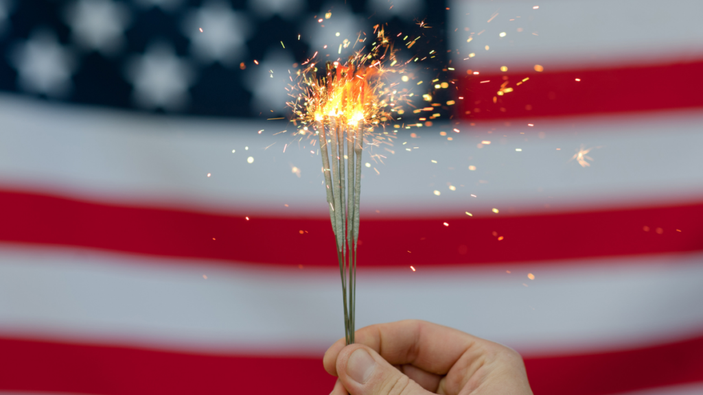 Celebrate! 4 Ways to Minimize Your Carbon Footprint Independence Day Weekend