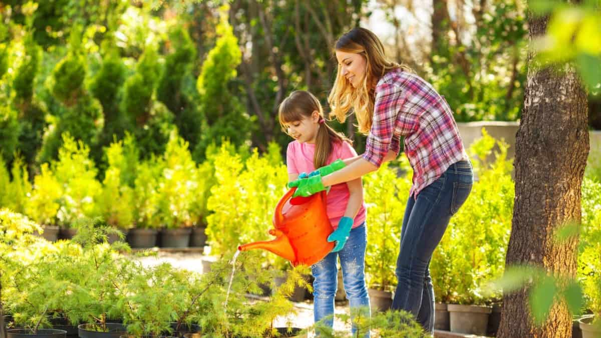 How to Water Your Garden Without a Hose Agway Energy Services