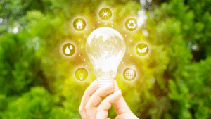 A hand holding up a glowing lightbulb, surrounded by symbols of conservation.