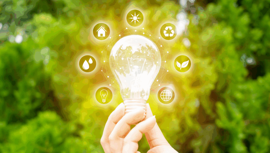 A hand holding up a glowing lightbulb, surrounded by symbols of conservation.