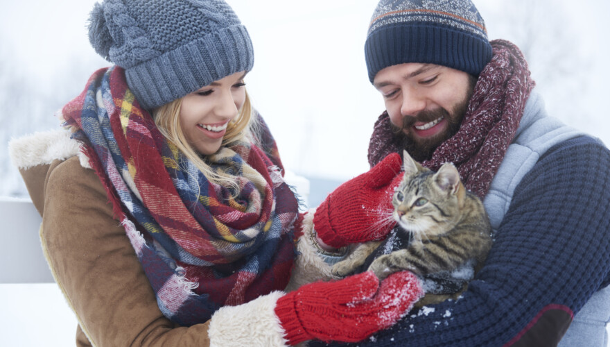Happy couple with cat in winter day